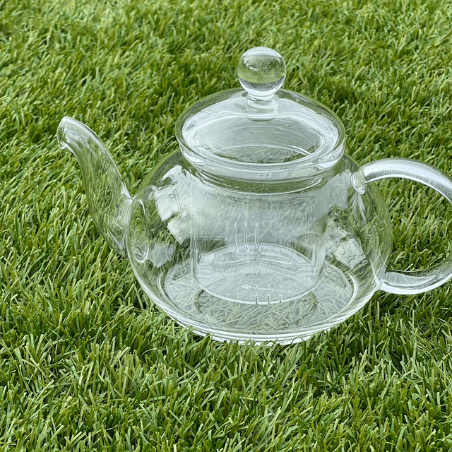 Randwyck Sencha 550ml glass infuser tea pot
