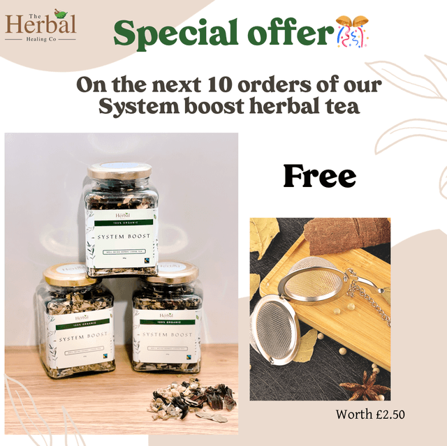 System Boost Organic Herbal Loose Tea